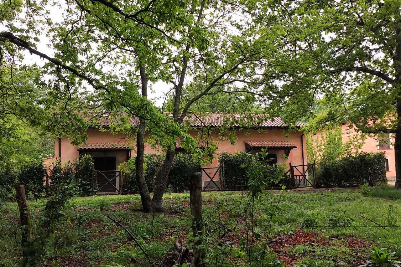 Agriturismo Tenuta Monte La Guardia Castel Giuliano Экстерьер фото
